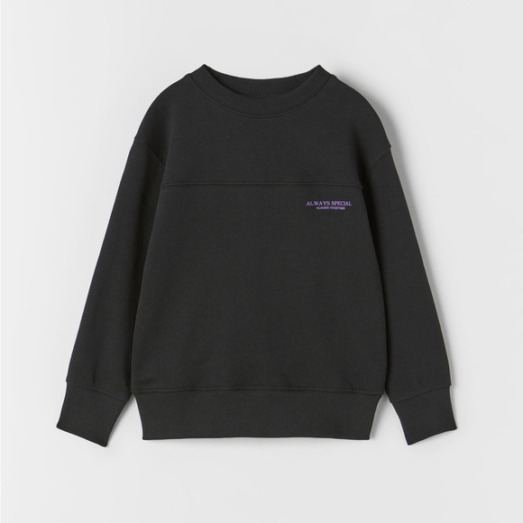 Zara Sweatshirts - Picture 2 of 13